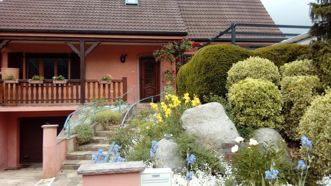 Marcia Donatti-A L'Ombre Des Coteaux Rio De Janeiro Bed & Breakfast Kaysersberg-Vignoble Exterior photo